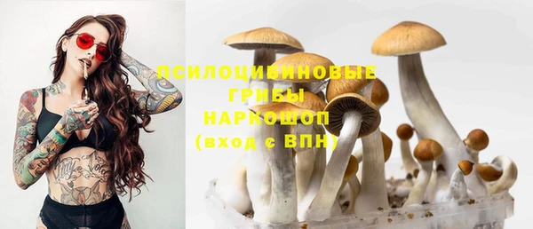 ALPHA PVP Армянск